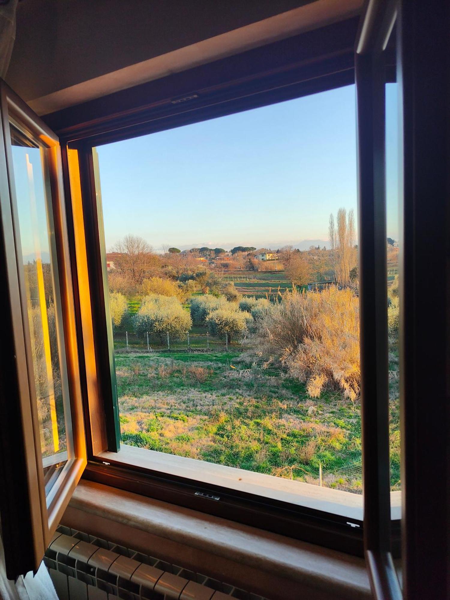 B&B Camera Delle Camelie Palestrina Exterior photo